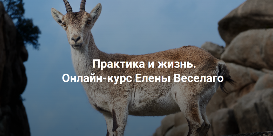 [Елена Веселаго] [Институт Открытого Поля] Практик_0.png